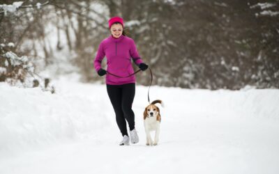 Winter Protection: A Guide to Safeguarding Your Pet in January